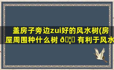 盖房子旁边zui
好的风水树(房屋周围种什么树 🦅 有利于风水)